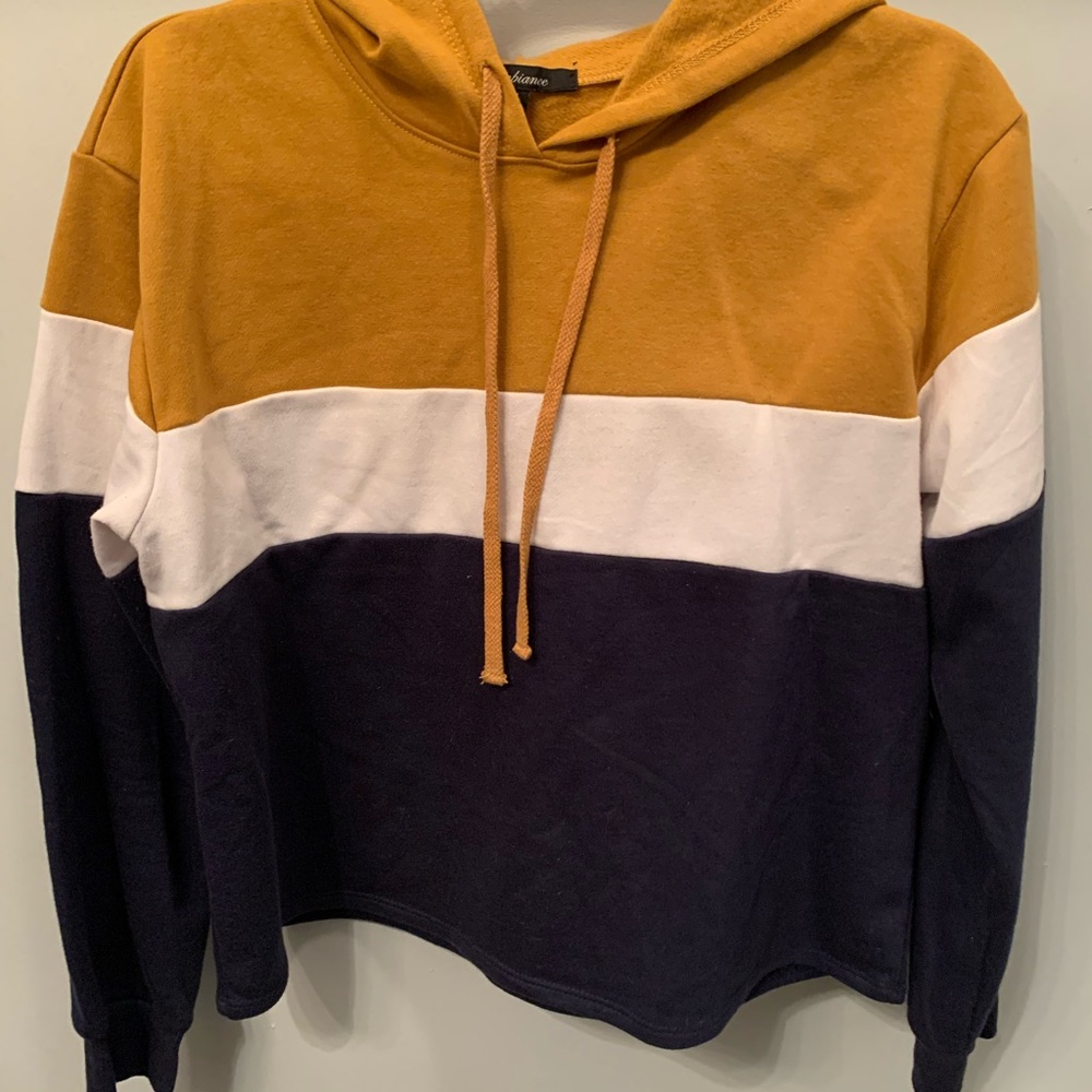 NWOT Slightly Cropped Block Color Hoodie
